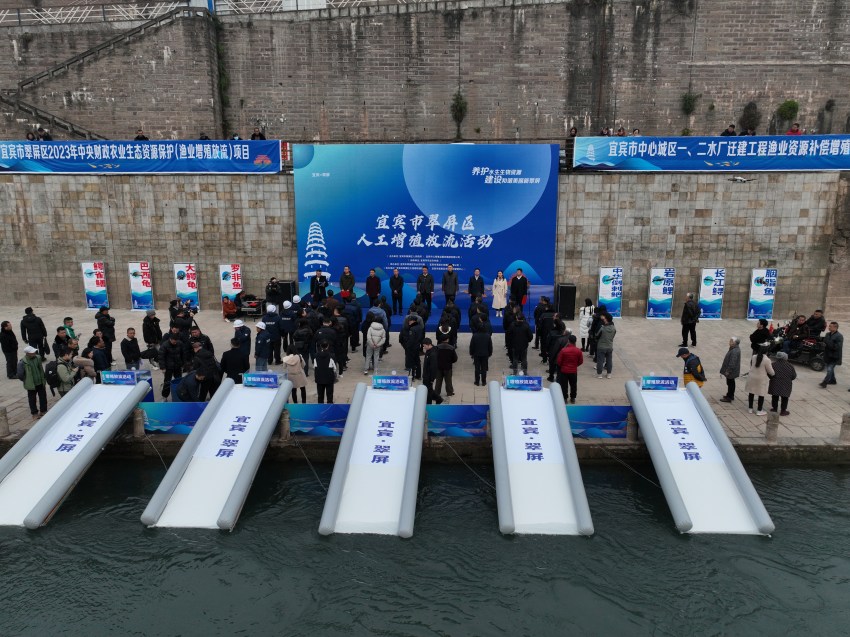 放流現(xiàn)場。宜賓市廣播電視臺供圖