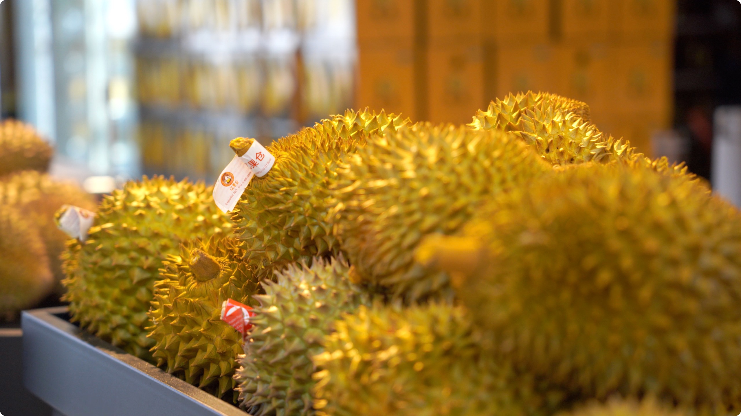 5月初，人民網記者申佳平攝